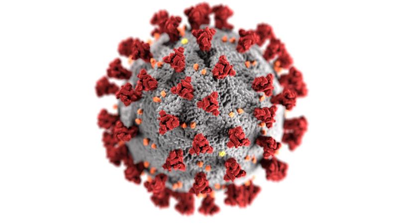 coronavirus_0.jpg